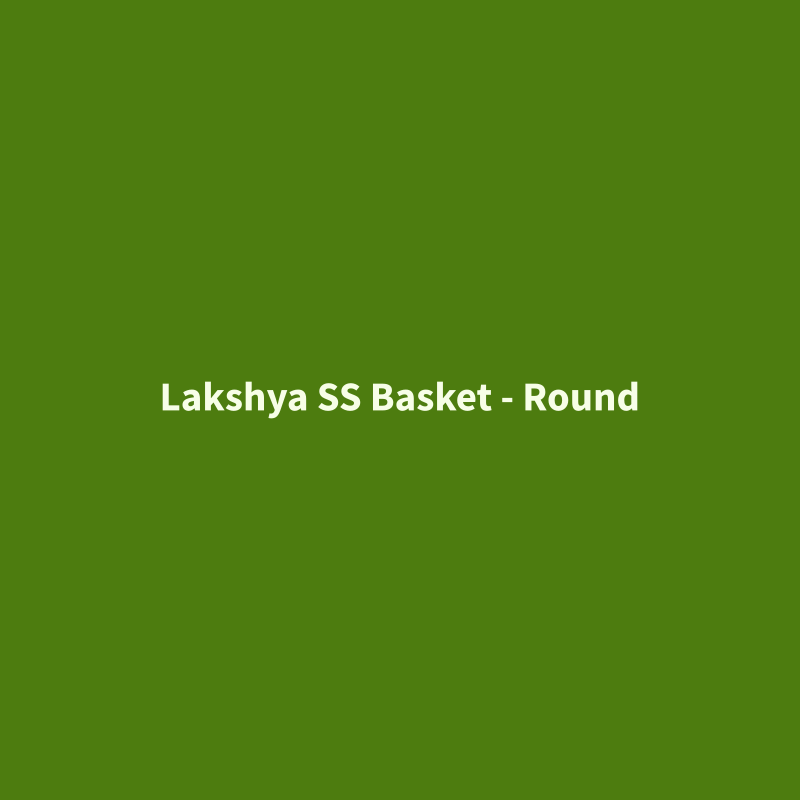 Stainless Steel Basket - Round