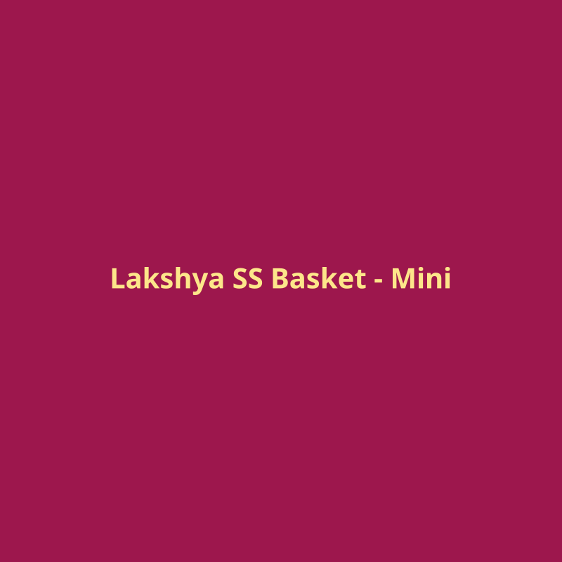 Stainless Steel Basket - Mini