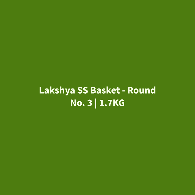 Stainless Steel Basket - Round